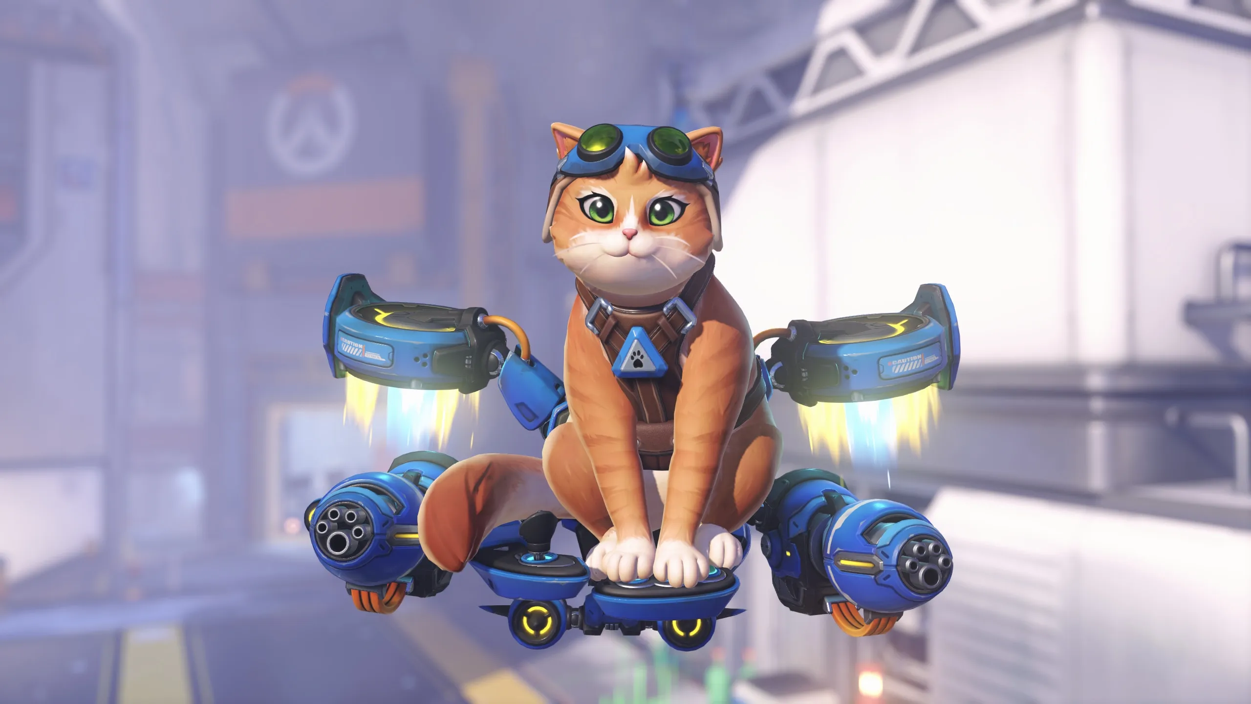 jetpack-cat